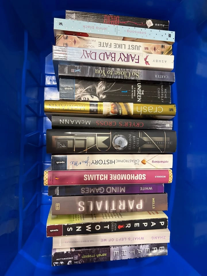 YA Books (2) - photo 4