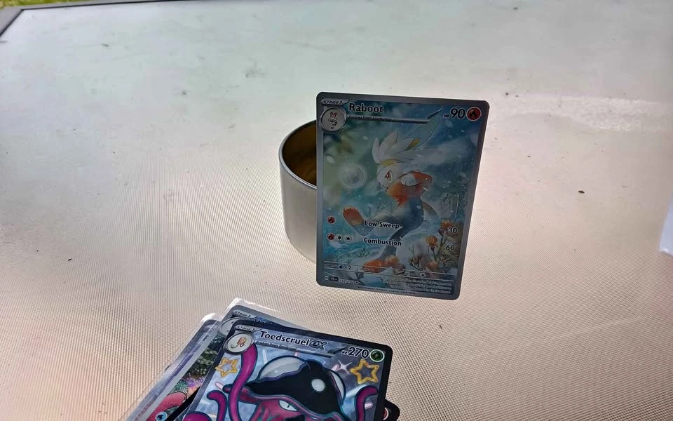 Pokémon - check description: Raboot