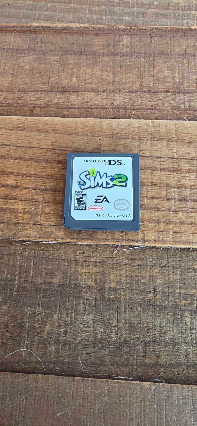 Nintendo DS Sims 2