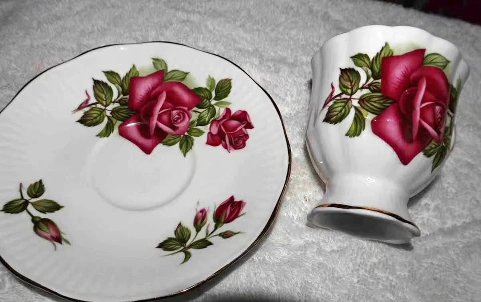 Cup and Saucer by Rosina Fine Bone China