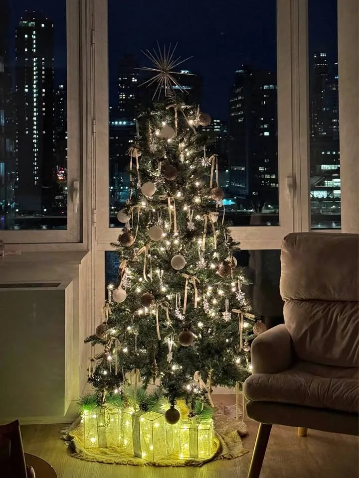 Moving sale - 5ft Christmas tree
