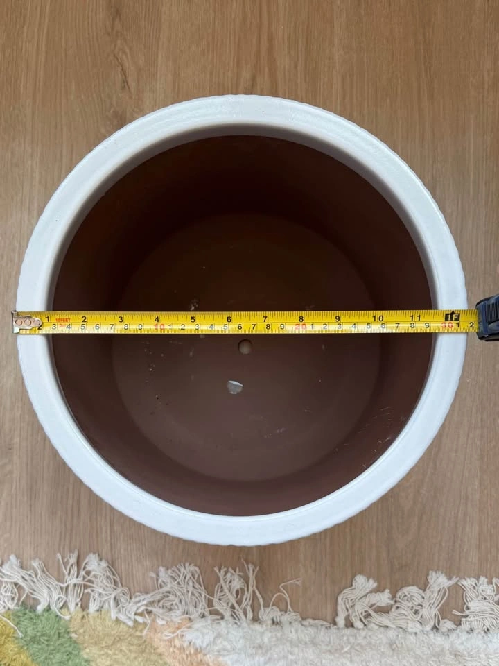 Crate&Barrel 12” Ceramic Planter - photo 3