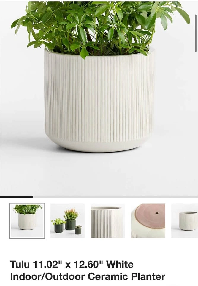 Crate&Barrel 12” Ceramic Planter - photo 4