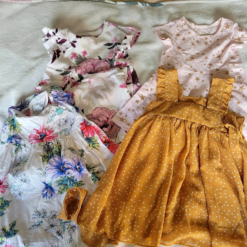 Toddler Girl clothes bundle 12-18mos