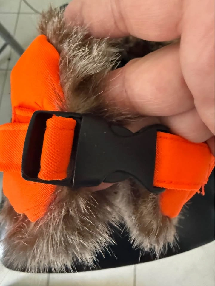 Realtree Xtra Blaze Orange Trapper Hat - photo 5