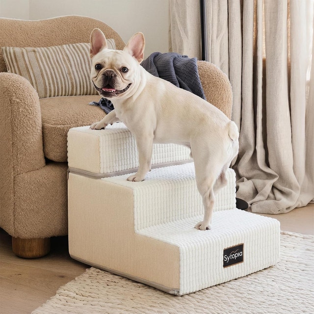 Pet Stairs Ramp for High Beds and Couch for Dogs