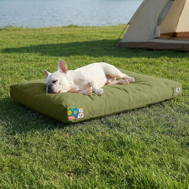 Sytopia 30 Inch Canvas Outdoor Dog Bed for Medium Dogs