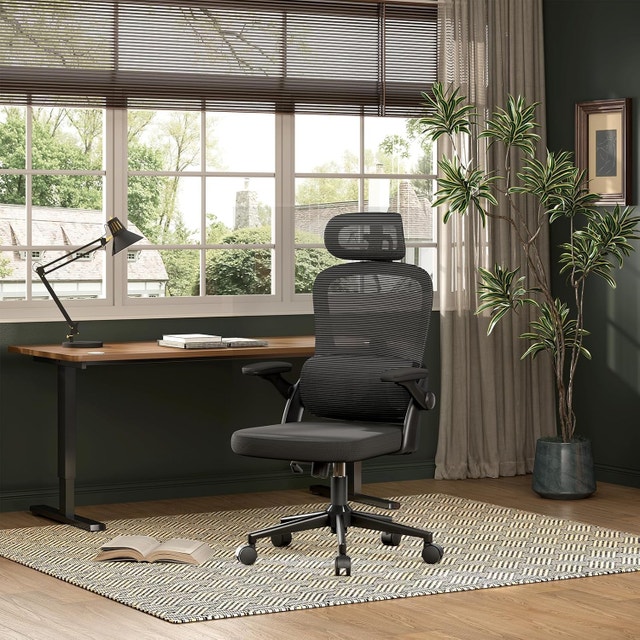 SIHOO M102C Ergonomic Office Chair, Black | High Back - photo 2