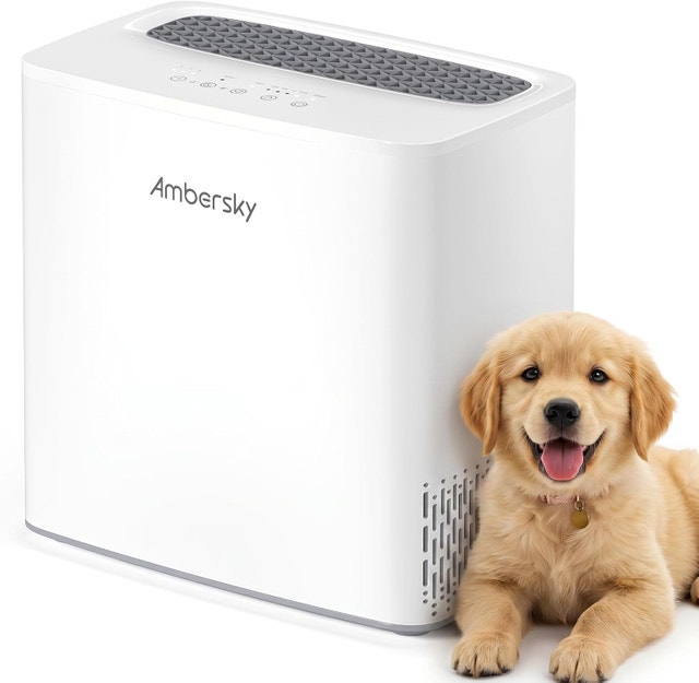 Ambersky Air Purifier for Home, True HEPA Air Cleaner