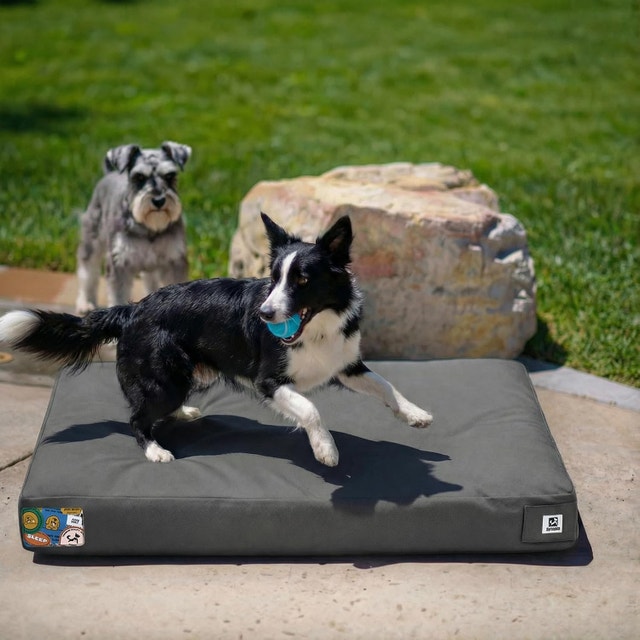 36 Inch Canvas Outdoor Dog Bed for Large Dogs
