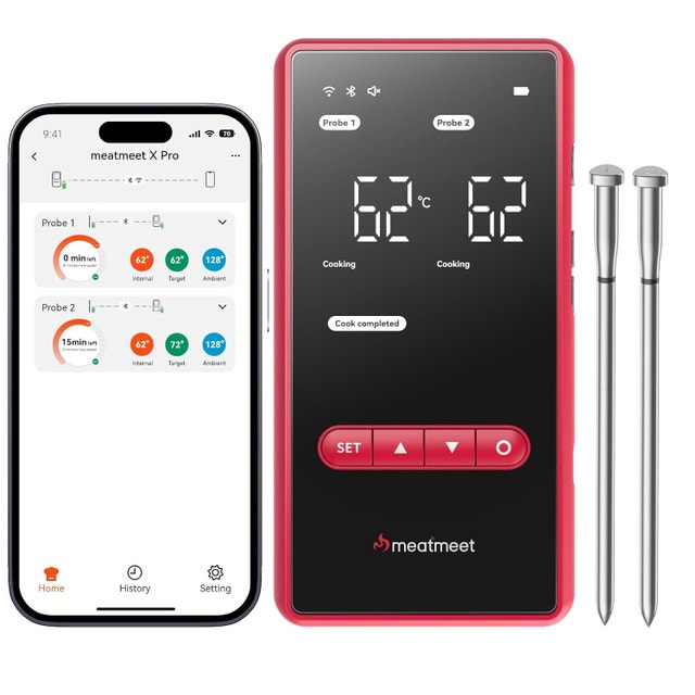 Wireless Meat Thermometer with 2 Probes