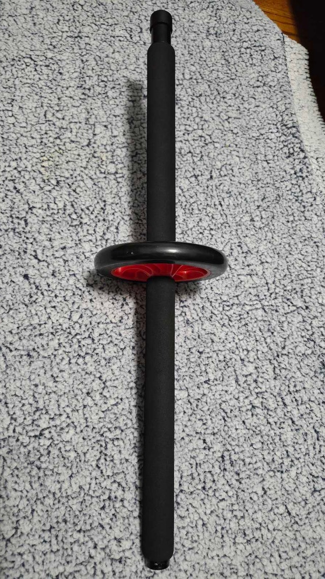 RARE - GREAT DEAL - ABS ROLLER - DUAL MODE