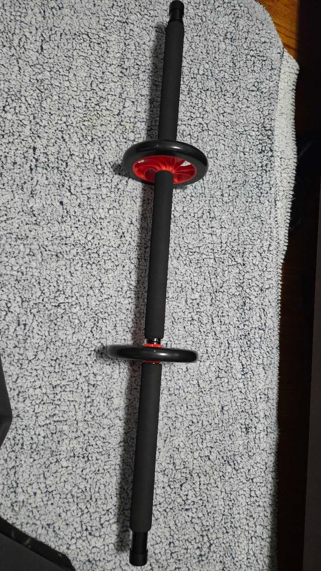 RARE - GREAT DEAL - ABS ROLLER - DUAL MODE - photo 2