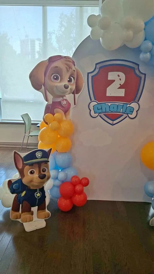 Paw patrol bday panel decoration bday MUST GO ASAP thumbnail