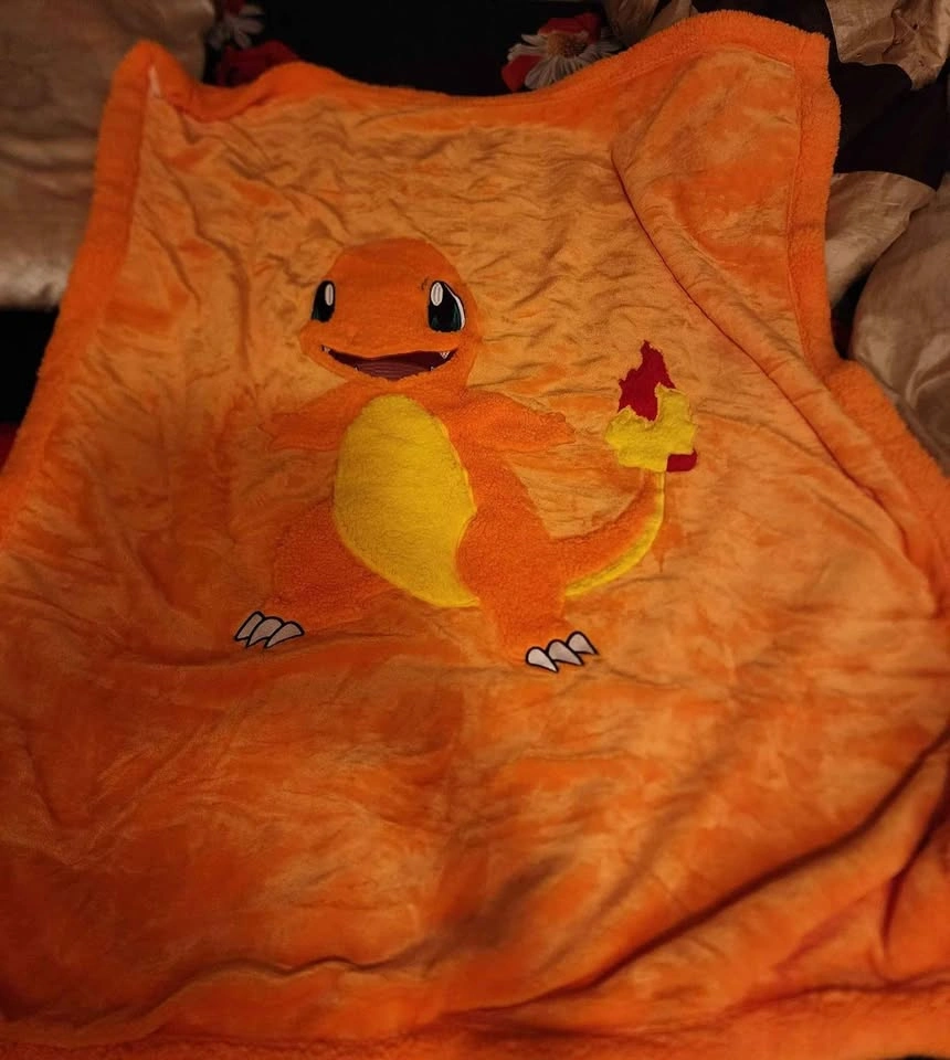 Brandnew Pokemon Charmander 3D 40x 50 throw - photo 2