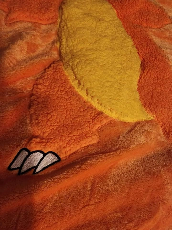 Brandnew Pokemon Charmander 3D 40x 50 throw - photo 3