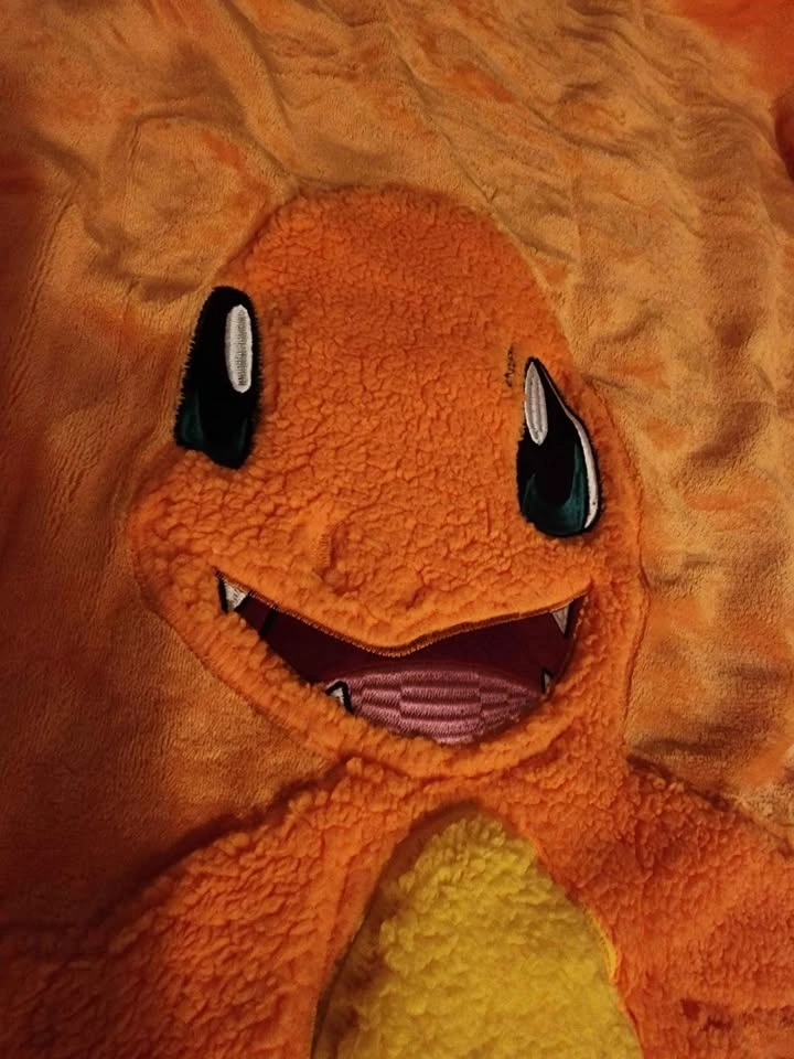 Brandnew Pokemon Charmander 3D 40x 50 throw - photo 4