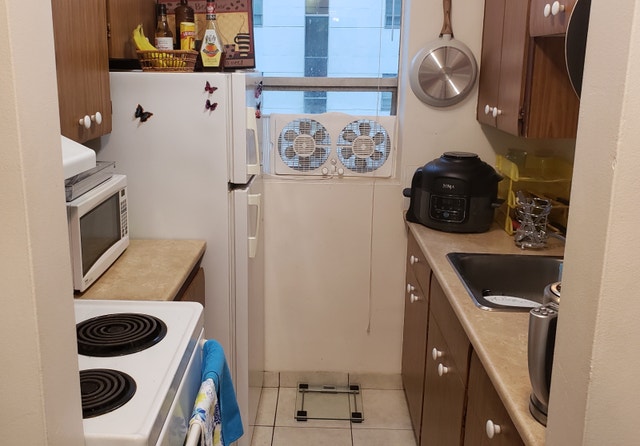 Looking for a Roommate - female preferred - photo 4