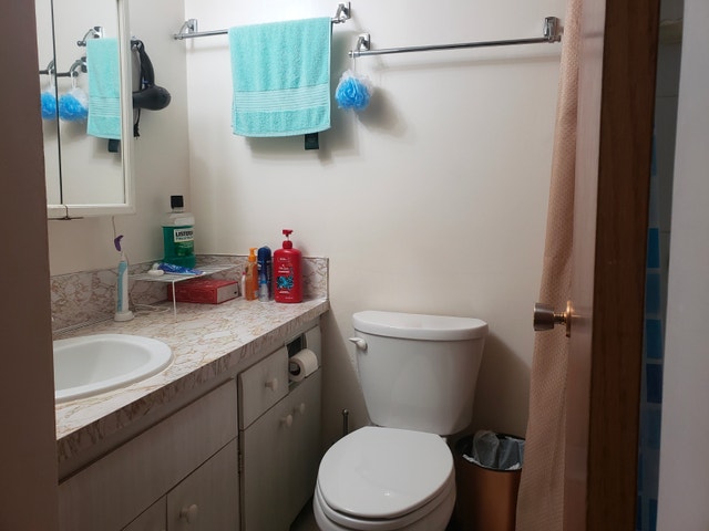 Looking for a Roommate - female preferred - photo 5