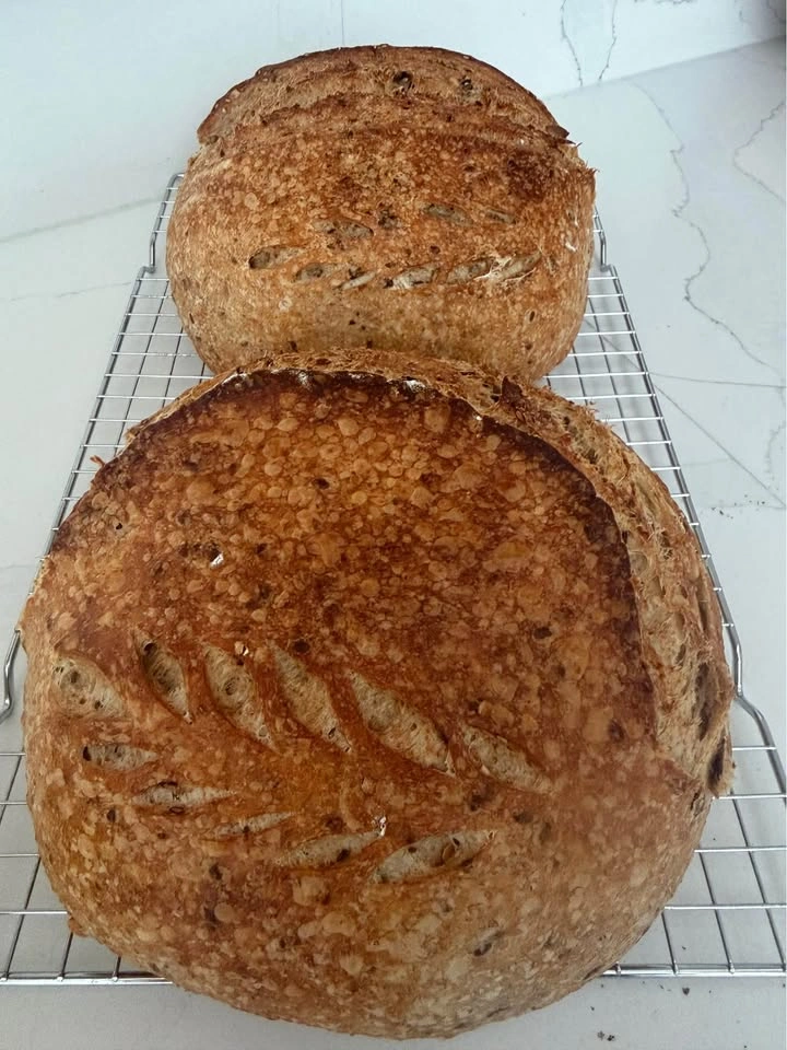 Sourdough Bread-Bagels and more - photo 4