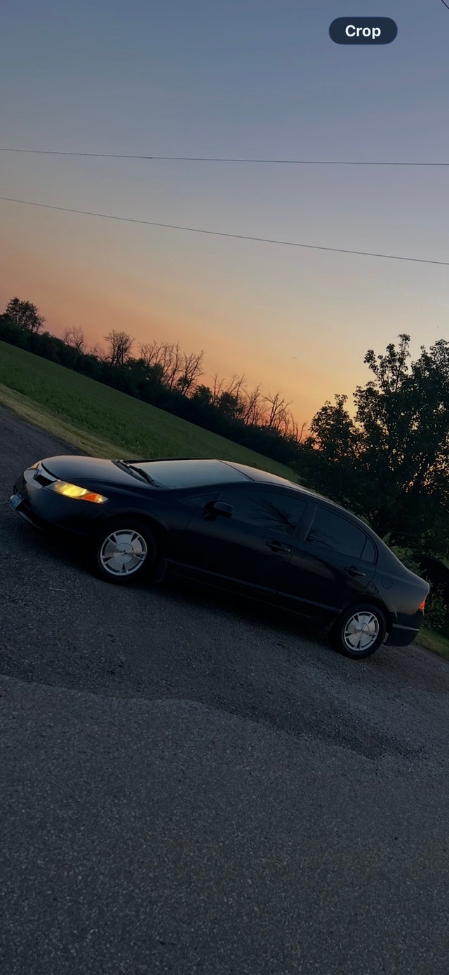 15 inch Honda oem alloys