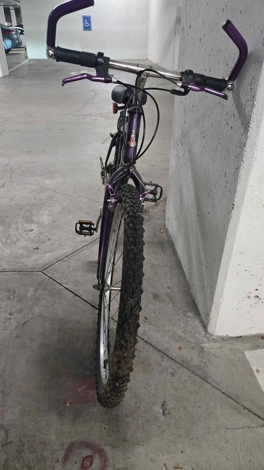 Summer bike - photo 2