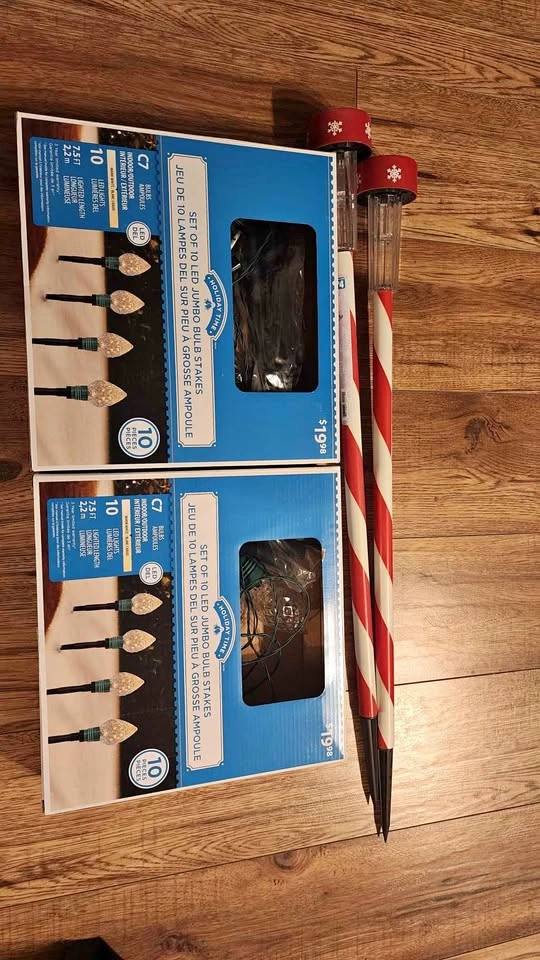 Holiday Time Set of 10 LED Jumbo Bulb Stakes and Candy Cane Stak