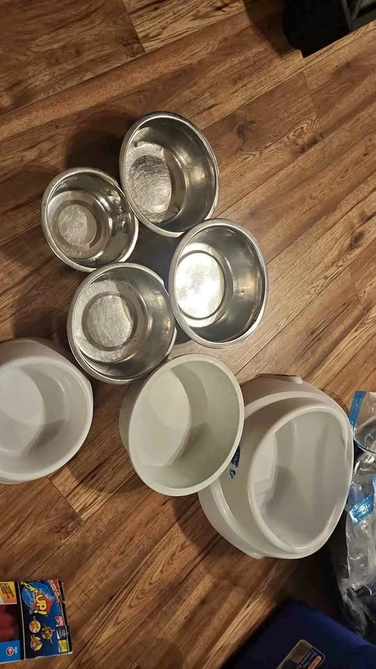 Assorted Stainless Steel and Plastic Pet Bowls