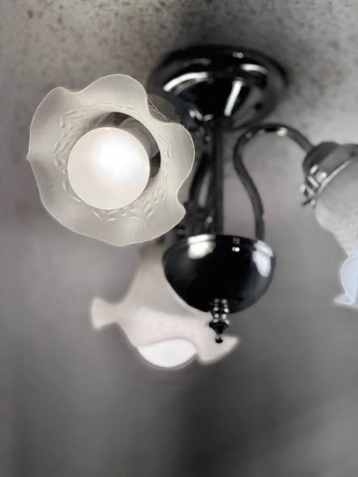 3-Light Chrome Ceiling Fixture with Frosted Floral Glass Shades - photo 2