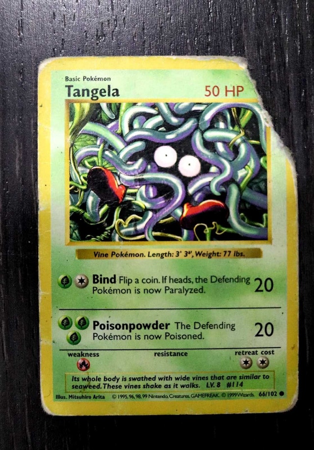 Damaged Pokemon Card Collection - photo 5