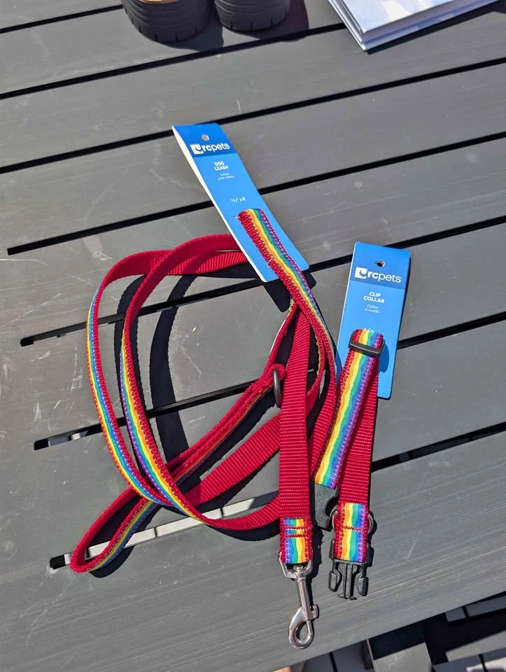 RC Pets Dog Leash and Clip Collar Set