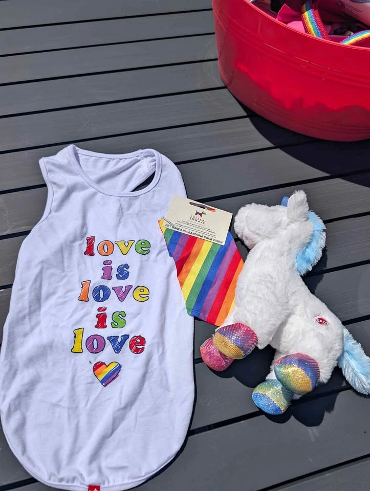 Hotel Doggy Pride Pet Tank, Bandana, and Unicorn Toy Set