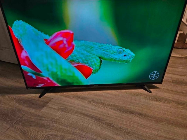 Sanyo 55 inch 4K UHD 2160p HDR Smart TV - photo 3