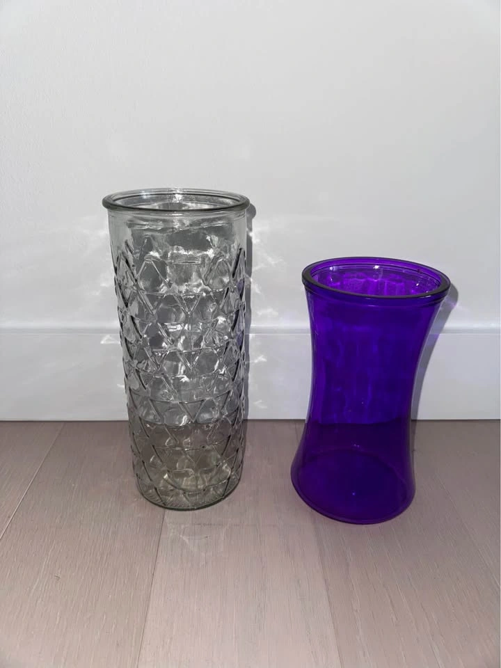Set of 2 Glass Vases