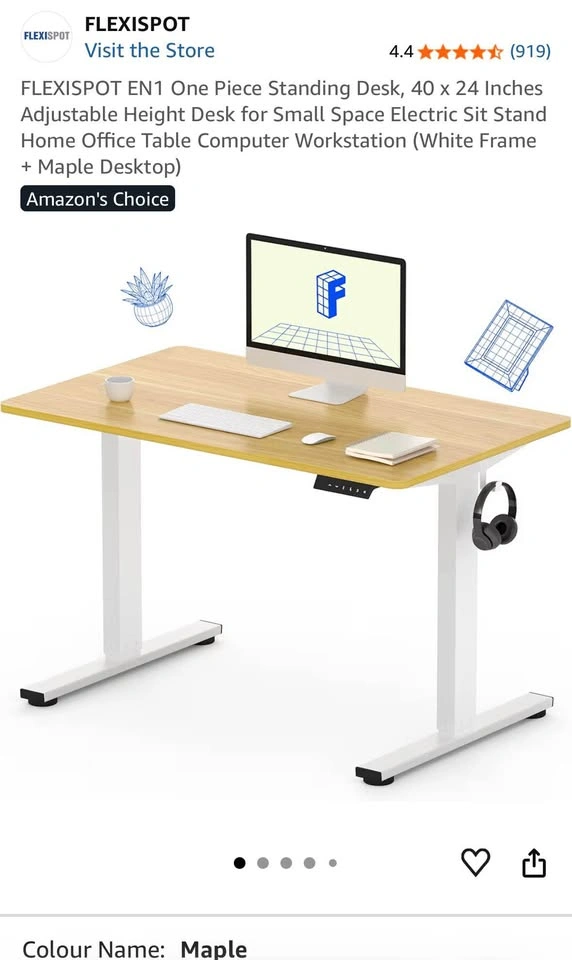 Flexispot Standing Desk - photo 2