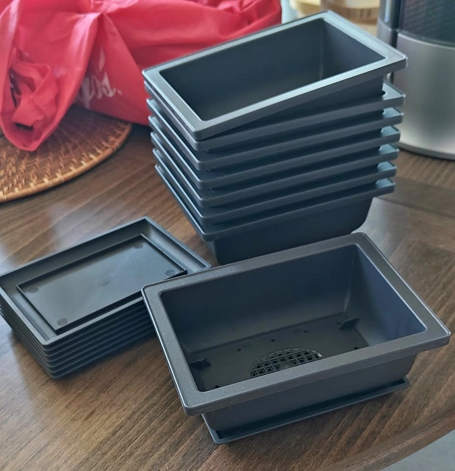 Rectangular Plastic Bonsai & Succulent Planter Pots with Trays
