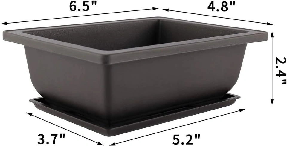Rectangular Plastic Bonsai & Succulent Planter Pots with Trays - photo 2
