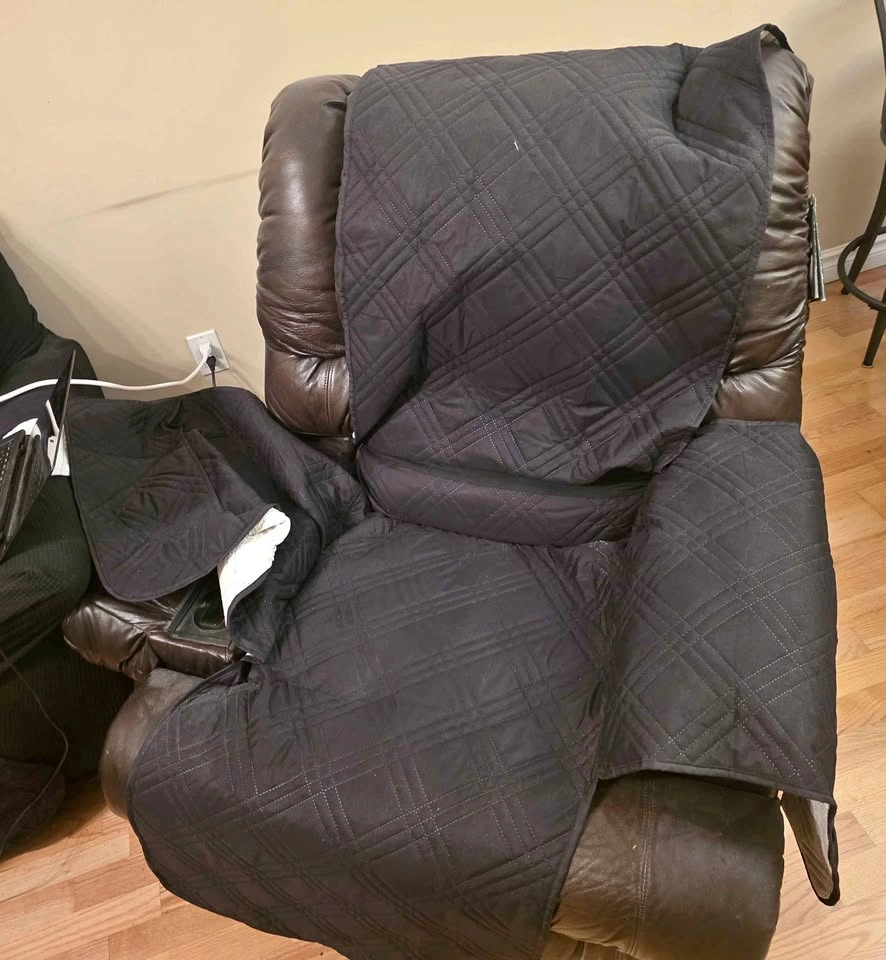 Electric leather recliner
