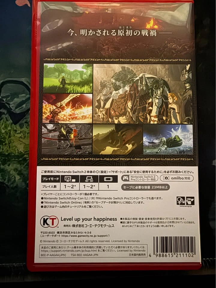 Hyrule Warriors: Age of Imprisonment (JPN) - photo 2
