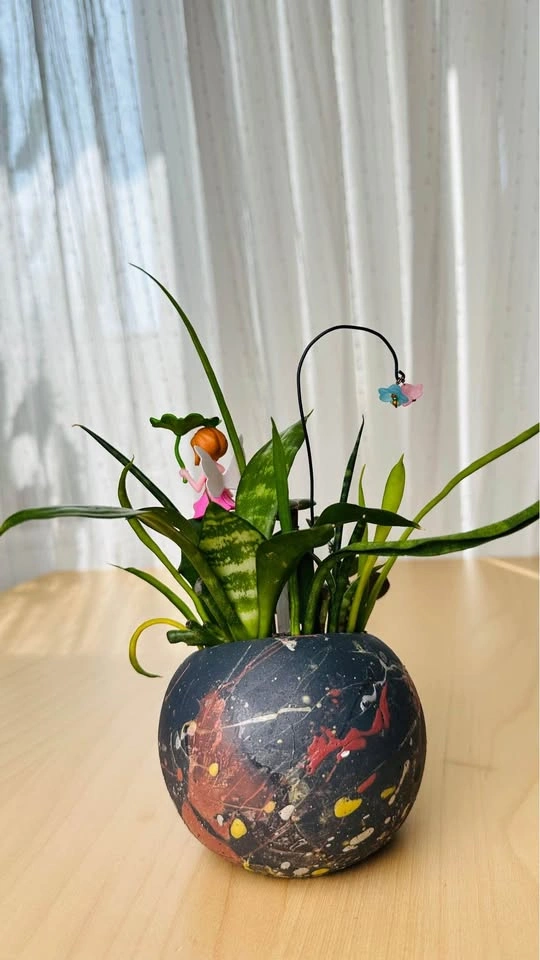 Cute low maintenance plant arrangement - photo 4