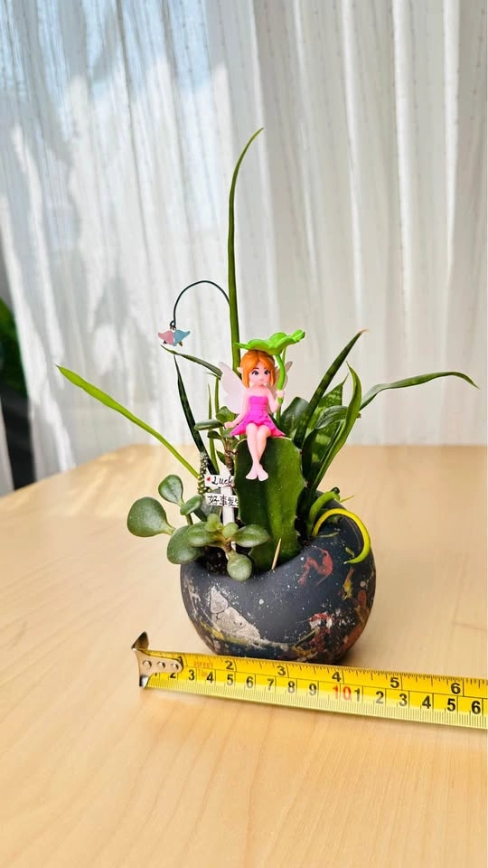 Cute low maintenance plant arrangement - photo 5