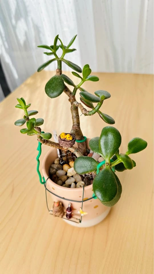 Jade Plant in Decorative Pot with Miniature Figurines