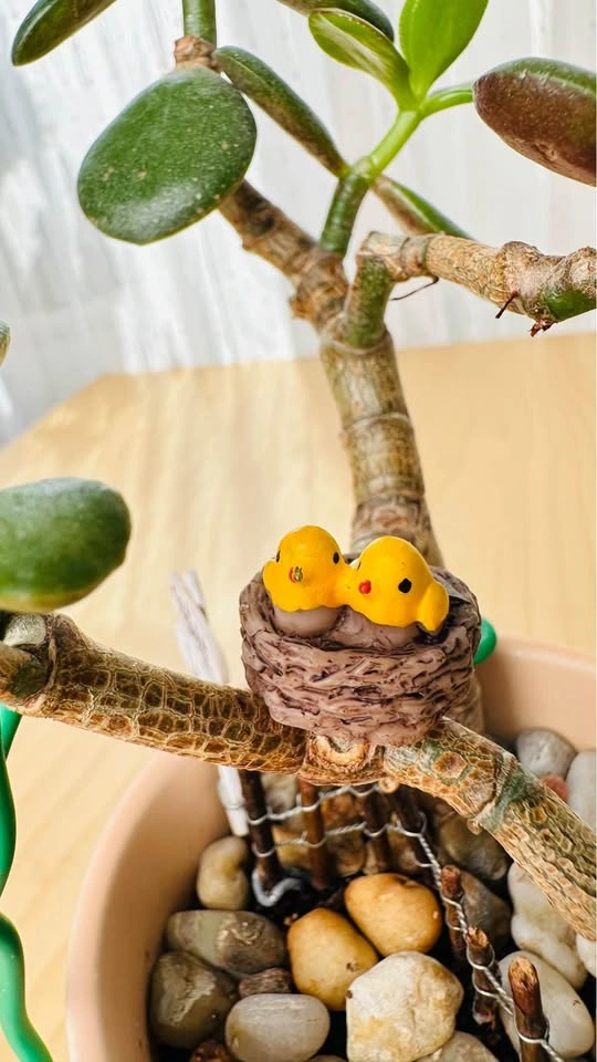 Jade Plant in Decorative Pot with Miniature Figurines - photo 4