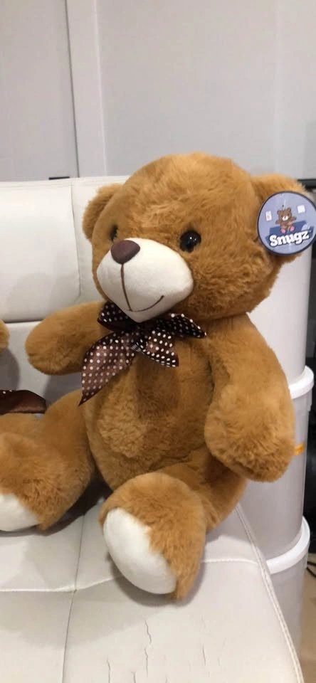 Teddy Bears - photo 2
