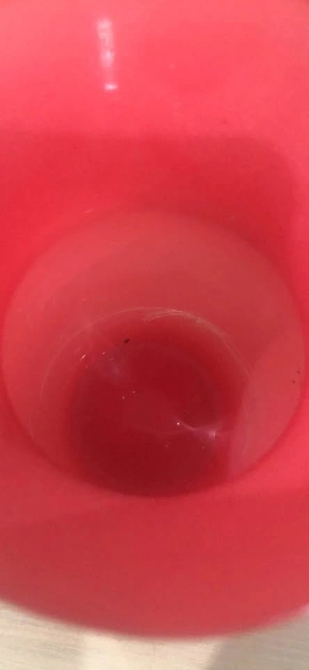 Red Glass Flower Vase - photo 3