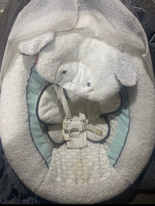 Fisher-Price Cradle 'n Swing - photo 3