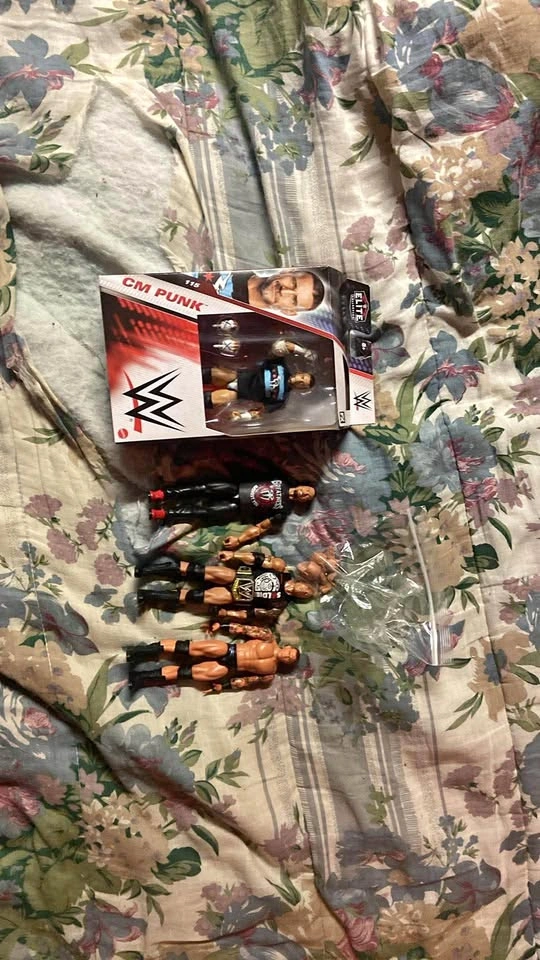 WWE figure lot