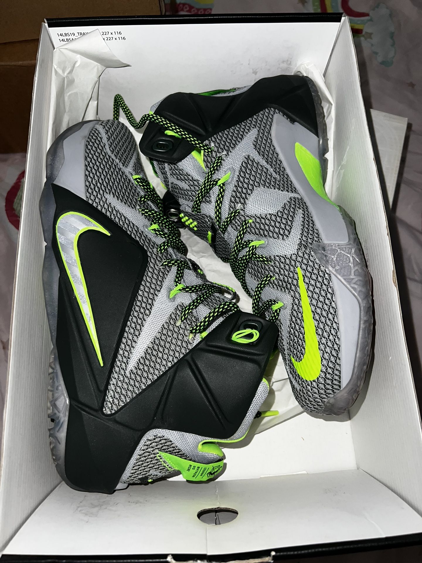 2014 LeBron 12 Dunkman 8 1/2