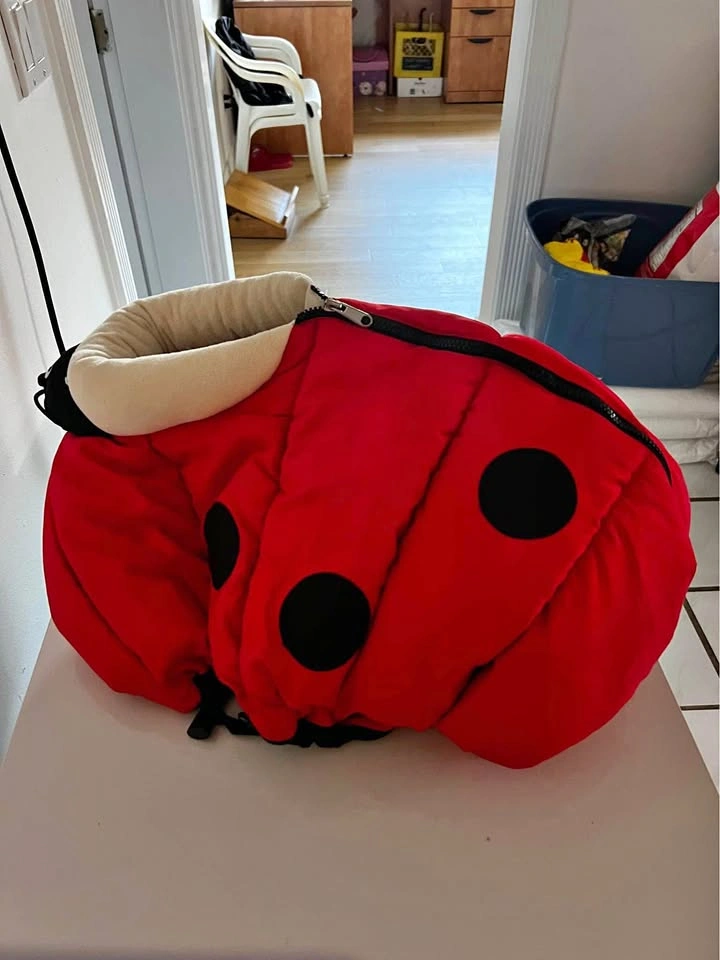 Lady bug cover