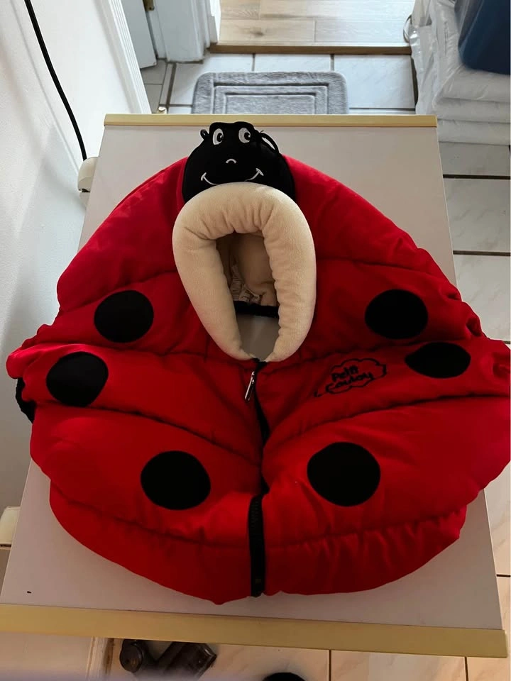 Lady bug cover - photo 3